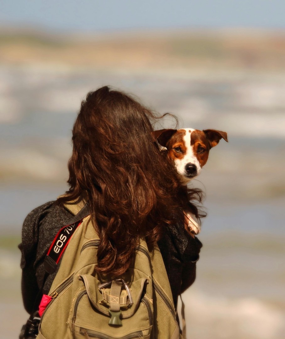 mevrouw loopt met rugzak en heeft een klein wit bruin hondje op de arm