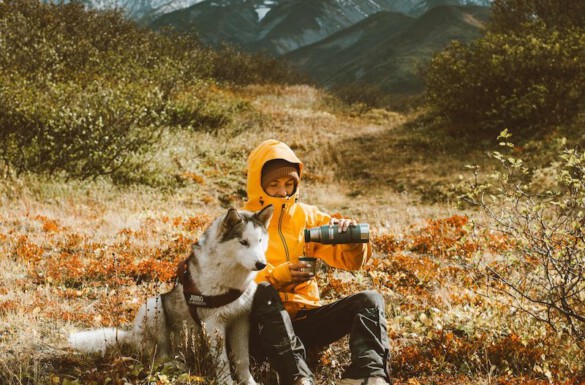 Vakantie met of zonder je hond